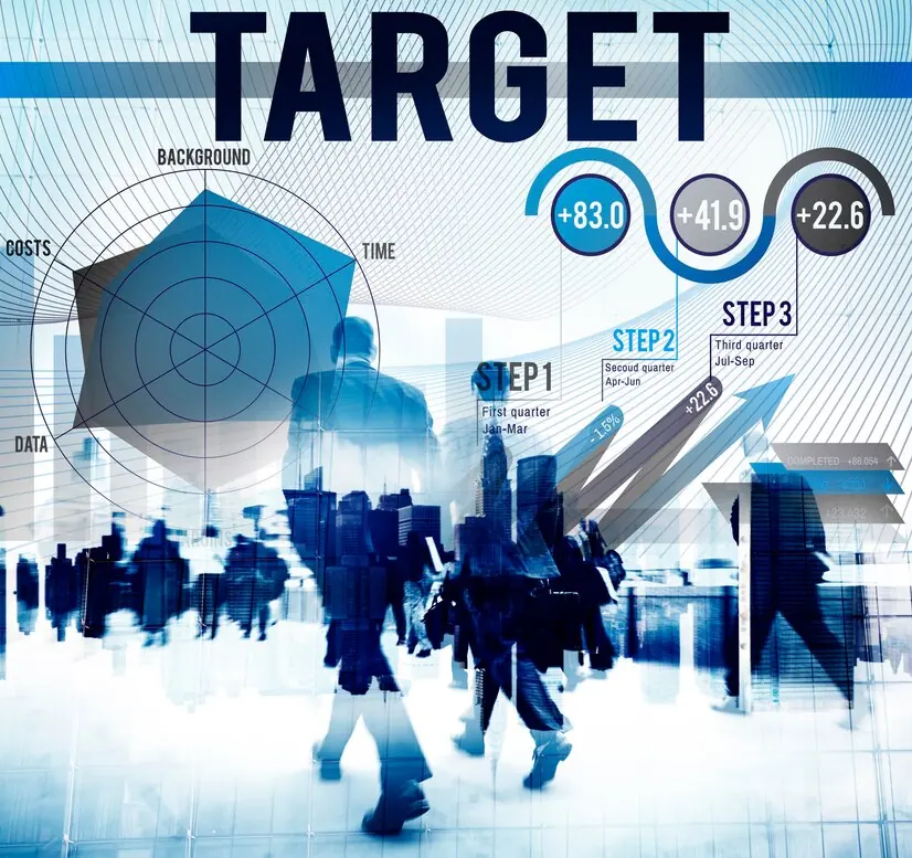 Step 1 – Targeting the Right Audience Precision Mapping for Canadian Businesses