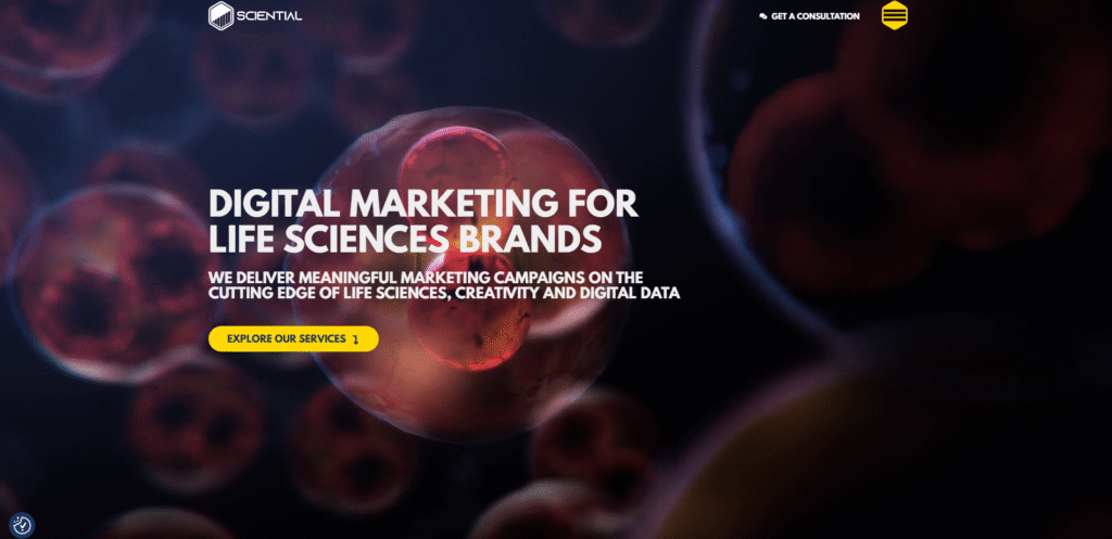 Top 10 Lead Generation Agencies in the Netherlands: The Ultimate Guide to Dutch B2B Powerhouses That Actually Deliver Results